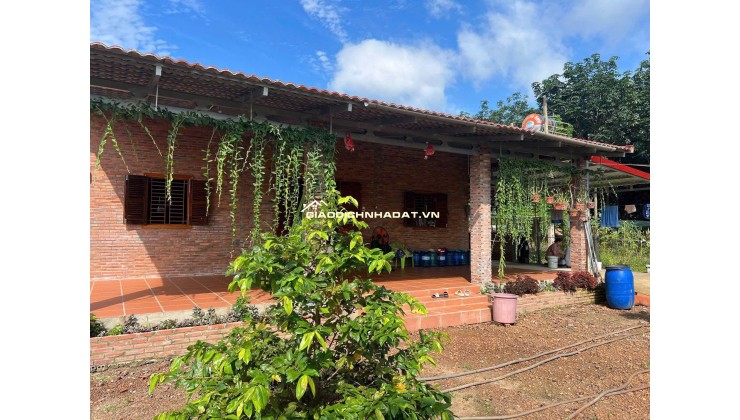 Kinh doanh thua lỗ bán nhanh nhà 2290m2 đất sổ riêng gần ngay khu công nghiệp đang hoạt động. Giá 380tr
